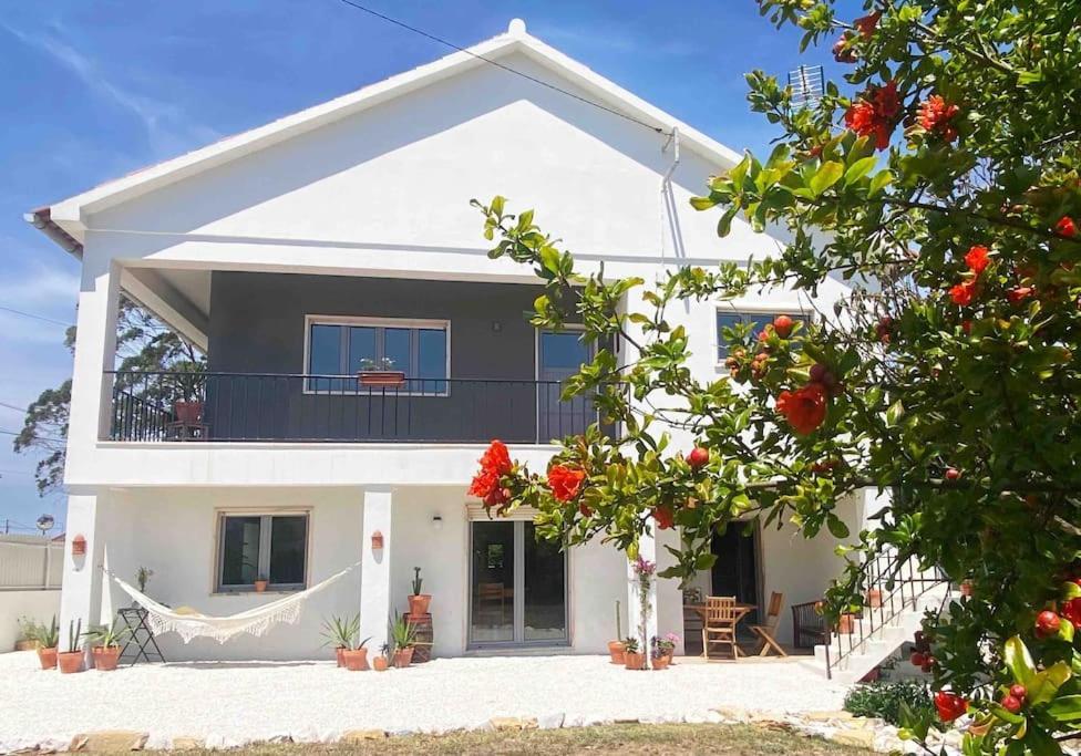 Terra Da Lagoa - Villa Near The Beach & Lagoon Nadadouro 외부 사진