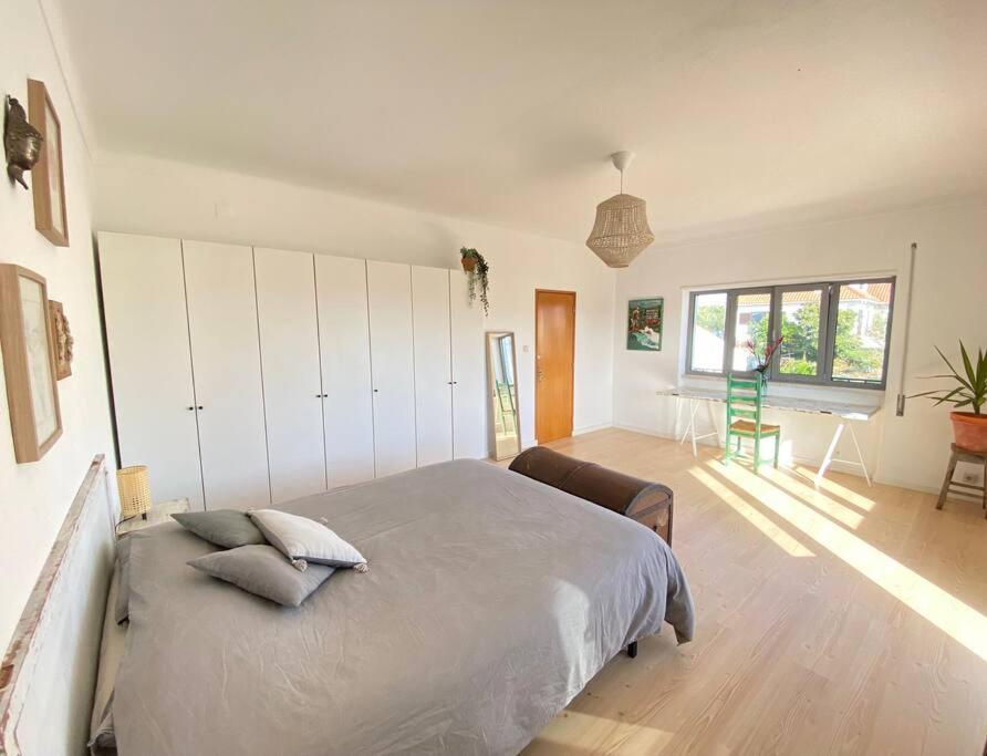 Terra Da Lagoa - Villa Near The Beach & Lagoon Nadadouro 외부 사진