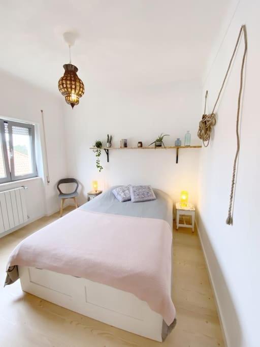 Terra Da Lagoa - Villa Near The Beach & Lagoon Nadadouro 외부 사진