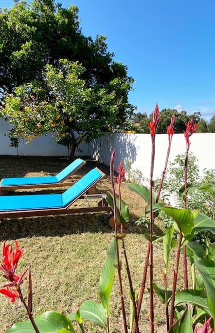 Terra Da Lagoa - Villa Near The Beach & Lagoon Nadadouro 외부 사진